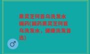 黑灵芝何首乌洗发水 国药(国药黑灵芝何首乌洗发水，健康洗发首选)