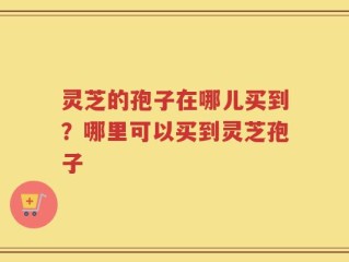 灵芝的孢子在哪儿买到？哪里可以买到灵芝孢子