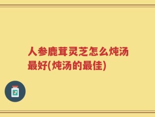 人参鹿茸灵芝怎么炖汤最好(炖汤的最佳)