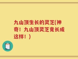 九山顶生长的灵芝(神奇！九山顶灵芝竟长成这样！)