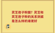 灵芝孢子粉图？灵芝和灵芝孢子粉的关系到底是怎么样的谁更好