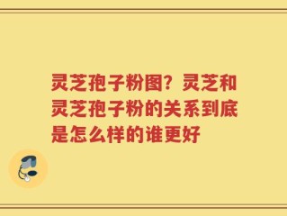 灵芝孢子粉图？灵芝和灵芝孢子粉的关系到底是怎么样的谁更好