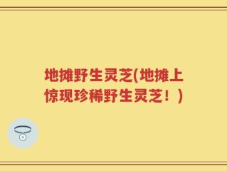 地摊野生灵芝(地摊上惊现珍稀野生灵芝！)