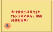 乡村爱情小坤灵芝(乡村小伙灵巧娶亲，甜蜜开启新篇章)