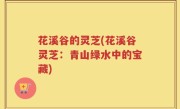 花溪谷的灵芝(花溪谷灵芝：青山绿水中的宝藏)