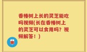 香椿树上长的灵芝能吃吗视频(长在香椿树上的灵芝可以食用吗？视频解答！)