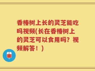 香椿树上长的灵芝能吃吗视频(长在香椿树上的灵芝可以食用吗？视频解答！)