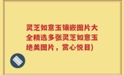 灵芝如意玉镶嵌图片大全精选多张灵芝如意玉绝美图片，赏心悦目)