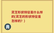 灵芝形状特征是什么样的(灵芝的形状特征是怎样的？)