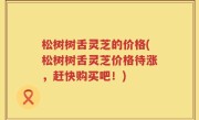 松树树舌灵芝的价格(松树树舌灵芝价格待涨，赶快购买吧！)