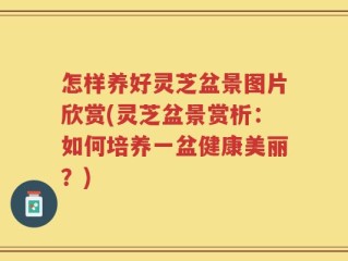 怎样养好灵芝盆景图片欣赏(灵芝盆景赏析：如何培养一盆健康美丽？)