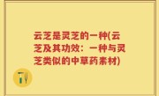 云芝是灵芝的一种(云芝及其功效：一种与灵芝类似的中草药素材)