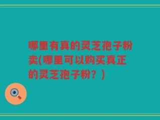 哪里有真的灵芝孢子粉卖(哪里可以购买真正的灵芝孢子粉？)