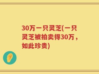 30万一只灵芝(一只灵芝被拍卖得30万，如此珍贵)