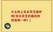 什么树上生长灵芝最好呢(生长灵芝的最佳树种是哪一种？)