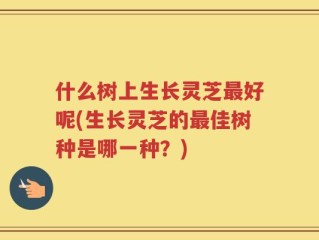 什么树上生长灵芝最好呢(生长灵芝的最佳树种是哪一种？)