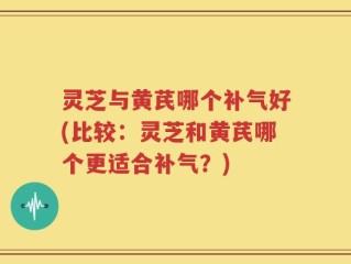 灵芝与黄芪哪个补气好(比较：灵芝和黄芪哪个更适合补气？)