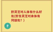 野灵芝对人体有什么好处(野生灵芝对身体有何益处？)