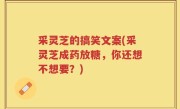 采灵芝的搞笑文案(采灵芝成药放糖，你还想不想要？)