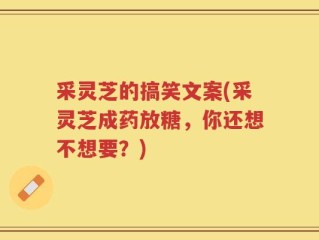 采灵芝的搞笑文案(采灵芝成药放糖，你还想不想要？)