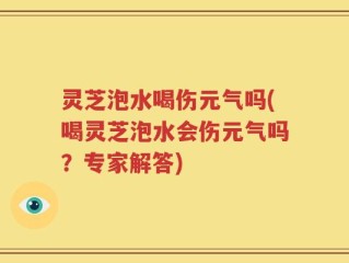 灵芝泡水喝伤元气吗(喝灵芝泡水会伤元气吗？专家解答)