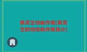 黑灵芝功能作用(黑灵芝的功效和作用简介)