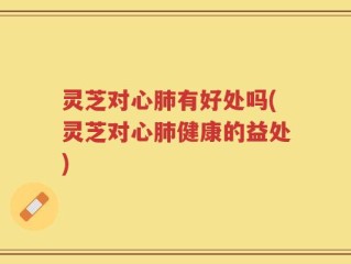 灵芝对心肺有好处吗(灵芝对心肺健康的益处)