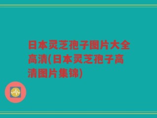 日本灵芝孢子图片大全高清(日本灵芝孢子高清图片集锦)