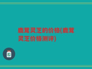 鹿茸灵芝的价格(鹿茸灵芝价格测评)