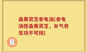 桑黄灵芝老龟汤(老龟汤搭桑黄灵芝，补气养生功不可挡)