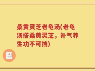 桑黄灵芝老龟汤(老龟汤搭桑黄灵芝，补气养生功不可挡)