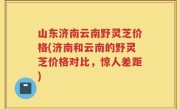 山东济南云南野灵芝价格(济南和云南的野灵芝价格对比，惊人差距)