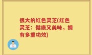 很大的红色灵芝(红色灵芝：健康又美味，拥有多重功效)