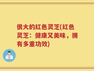 很大的红色灵芝(红色灵芝：健康又美味，拥有多重功效)