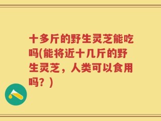 十多斤的野生灵芝能吃吗(能将近十几斤的野生灵芝，人类可以食用吗？)