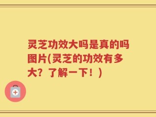灵芝功效大吗是真的吗图片(灵芝的功效有多大？了解一下！)