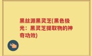 黑丝源黑灵芝(黑色极光：黑灵芝提取物的神奇功效)