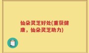 仙朵灵芝好处(重获健康，仙朵灵芝助力)