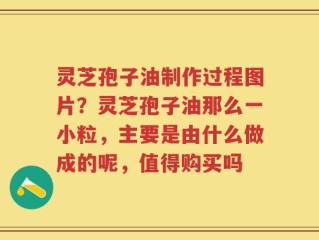 灵芝孢子油制作过程图片？灵芝孢子油那么一小粒，主要是由什么做成的呢，值得购买吗