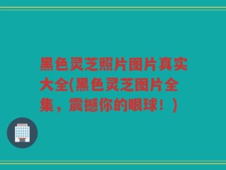 黑色灵芝照片图片真实大全(黑色灵芝图片全集，震撼你的眼球！)