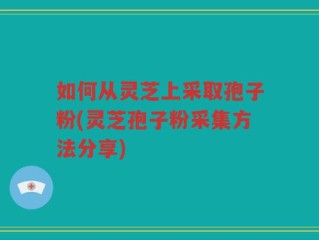 如何从灵芝上采取孢子粉(灵芝孢子粉采集方法分享)