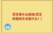 灵芝用什么栽培(灵芝的栽培方法是什么？)