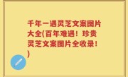 千年一遇灵芝文案图片大全(百年难遇！珍贵灵芝文案图片全收录！)