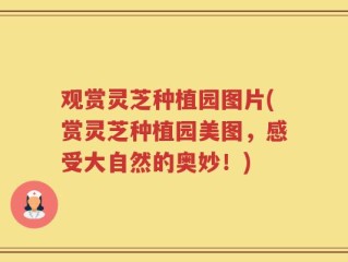 观赏灵芝种植园图片(赏灵芝种植园美图，感受大自然的奥妙！)