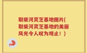 取柴河灵芝基地图片(取柴河灵芝基地的美丽风光令人叹为观止！)