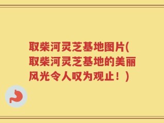 取柴河灵芝基地图片(取柴河灵芝基地的美丽风光令人叹为观止！)