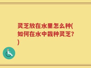 灵芝放在水里怎么种(如何在水中栽种灵芝？)