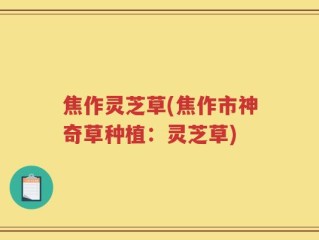 焦作灵芝草(焦作市神奇草种植：灵芝草)
