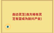 南边灵芝(南方稀有灵芝有望成为新兴产业)