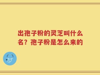 出孢子粉的灵芝叫什么名？孢子粉是怎么来的